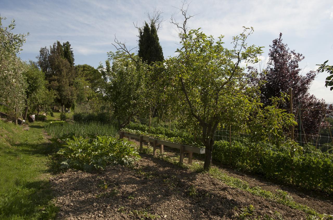 Tenuta Cambiano Castelfiorentino Esterno foto
